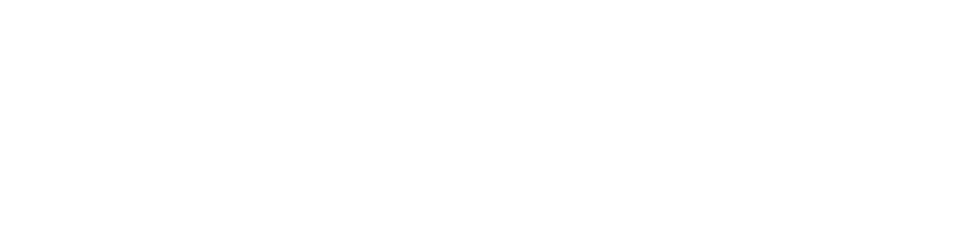 Zenith Fund